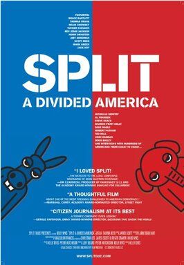 Split: A Divided America - лучший фильм в фильмографии Норм Орнштейн