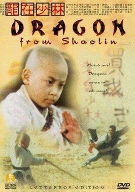 Long zai Shaolin - лучший фильм в фильмографии Тун-Лит Муй