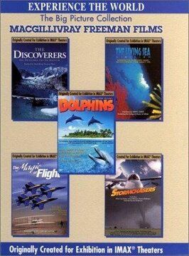 Фильм Dolphins: The Ride.