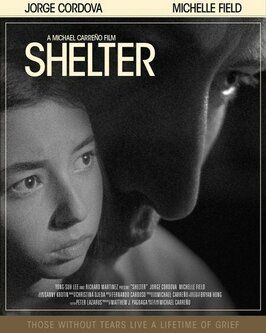 Фильм Shelter.