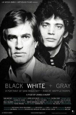 Black White + Gray: A Portrait of Sam Wagstaff and Robert Mapplethorpe - лучший фильм в фильмографии Raymond Foye