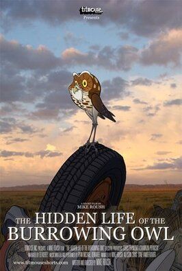 Мультфильм The Hidden Life of the Burrowing Owl.