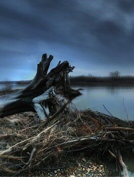 Фильм Down by the Water.