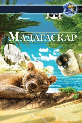 Фильм Мадагаскар 3D.