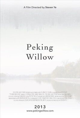 Peking Willow из фильмографии Ли Дунхэн в главной роли.