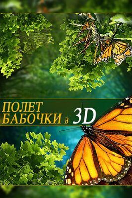 Фильм Полет бабочки 3D.