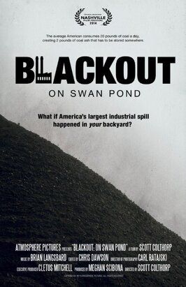 Фильм Blackout: On Swan Pond.