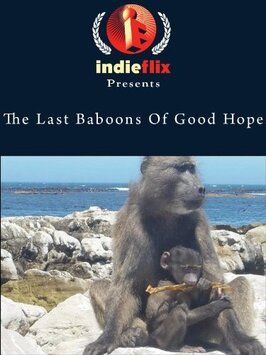 The Last Baboons of Good Hope из фильмографии Пол Моркел в главной роли.