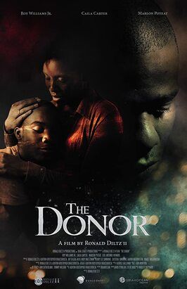 The Donor - лучший фильм в фильмографии Сара Песто