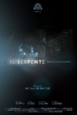 Il serpente, niente è come sembra - лучший фильм в фильмографии Джулио Манолья