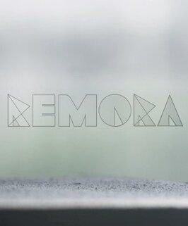 Remora - лучший фильм в фильмографии Тайлер Луек