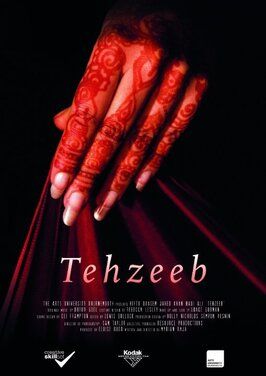 Фильм Tehzeeb.