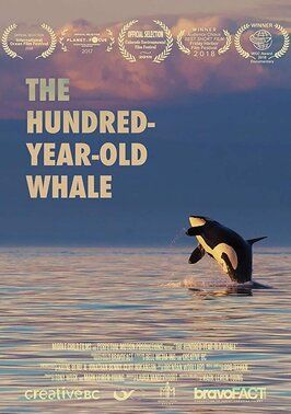 The Hundred Year Old Whale из фильмографии А. Джонатан Бенни в главной роли.