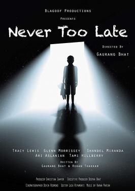 Never Too Late - лучший фильм в фильмографии Tami Hillberry