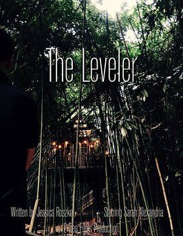 Фильм The Leveler.