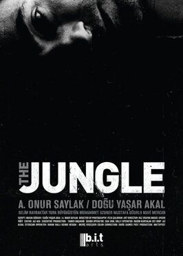 The Jungle из фильмографии Туба Бюйюкюстюн в главной роли.