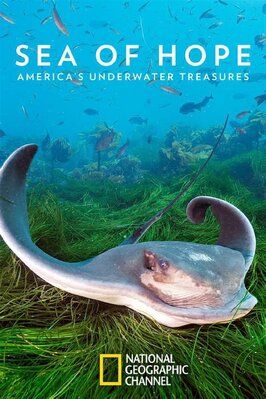 Sea of Hope: America's Underwater Treasures - лучший фильм в фильмографии Аллан Батлер