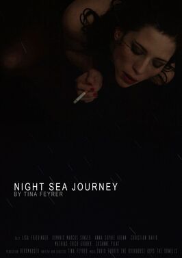 Фильм Night Sea Journey.