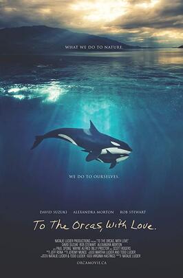 Фильм To the Orcas with Love.