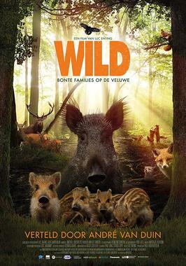 Фильм Wild.