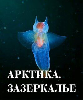 Арктика. Зазеркалье из фильмографии Дмитрий Озеров в главной роли.