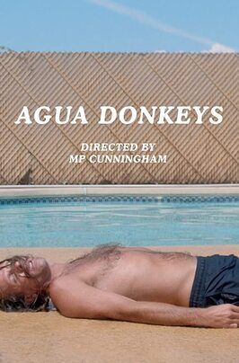 Agua Donkeys - лучший фильм в фильмографии Tim Rowberry