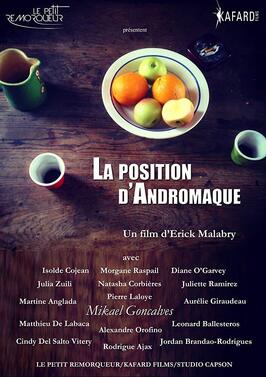 Фильм La position d'Andromaque.