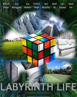 Labyrinth Life - лучший фильм в фильмографии Джейсон Обермайер