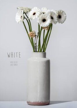 Фильм White.