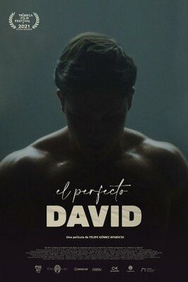 El perfecto David - лучший фильм в фильмографии Никасио Галан