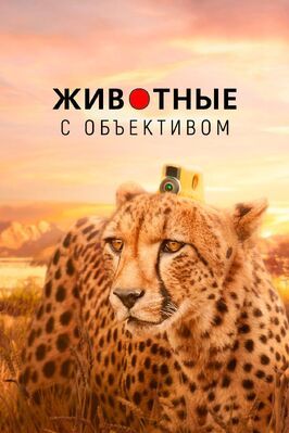 Животные с объективом - лучший фильм в фильмографии Роб Дейвис