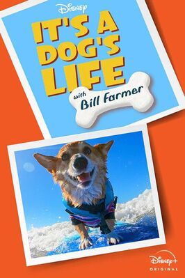 It's A Dog's Life из фильмографии Билл Фармер в главной роли.