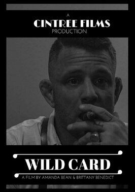 Wild Card - лучший фильм в фильмографии Brittany Benedict