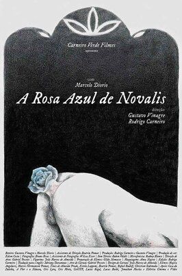 A Rosa Azul de Novalis - лучший фильм в фильмографии Густаву Винагри