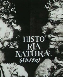 Естественная история (сюита) - лучший фильм в фильмографии Ян Шванкмайер