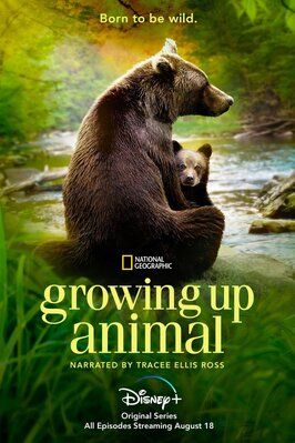 Growing Up Animal - лучший фильм в фильмографии Russell MacLaughlin