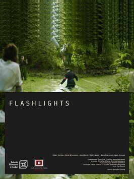 Фильм Flashlights.