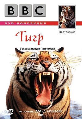 Фильм BBC: Тигр.