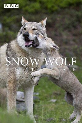 The Snow Wolf: A Winter's Tale из фильмографии Эмилия Фокс в главной роли.