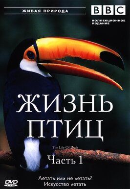 BBC: Жизнь птиц - лучший фильм в фильмографии Тим Куп