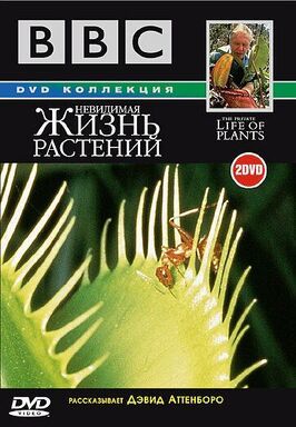 BBC: Невидимая жизнь растений - лучший фильм в фильмографии Тим Шеперд