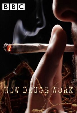 How Drugs Work - лучший фильм в фильмографии Явар Аббас