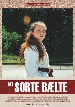 Det Sorte Bælte - лучший фильм в фильмографии Troels Hansen