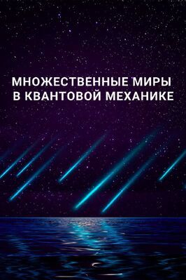 Множественные миры в квантовой механике - лучший фильм в фильмографии Стефен Уилкинсон