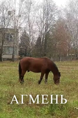 Фильм Агмень.