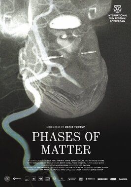 Phases of Matter - лучший фильм в фильмографии Асли Эрдем