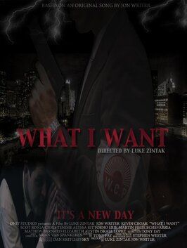 What I Want - лучший фильм в фильмографии Luke Zintak