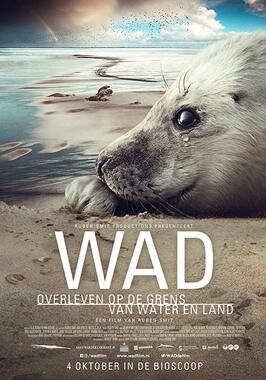 Фильм Wad: Overleven op de Grens van Water en Land.