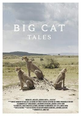 Big Cat Tales - лучший фильм в фильмографии Dawn Sinsel