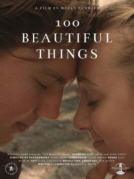 100 Beautiful Things из фильмографии Ethan Seneker в главной роли.